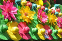 DSC 0208
