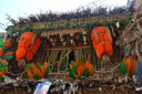 DSC 0231