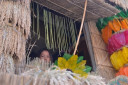 DSC 0240
