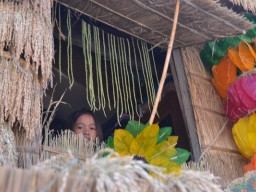 DSC 0240