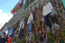 DSC 0245