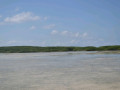 DSC 0529