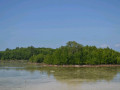 DSC 0532