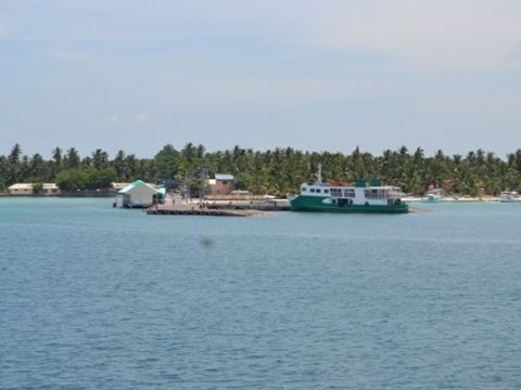 DSC 0095