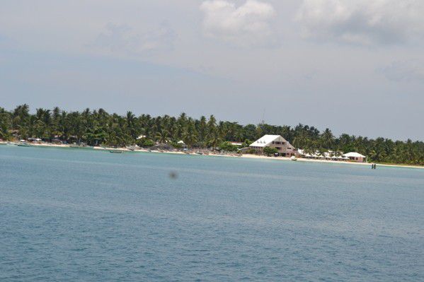 DSC 0096