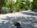 DSC 0111