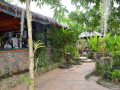 DSC 0256