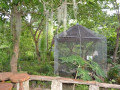 DSC 0258