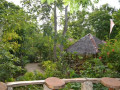DSC 0260