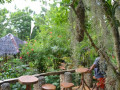 DSC 0261
