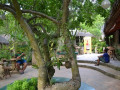 DSC 0263
