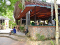 DSC 0264