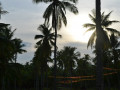 DSC 0313