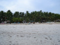 DSC 0324