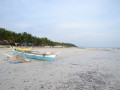 DSC 0328