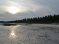 DSC 0340