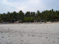 DSC 0343