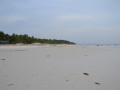 DSC 0346