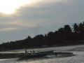 DSC 0352