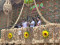 2014 Pahiyas Festival (Album 4)