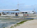 DSC 0710