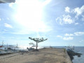 DSC 0580