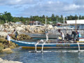 DSC 0681