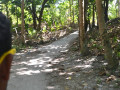 DSC 0755