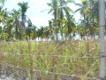 DSC 0757