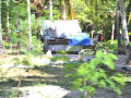 DSC 0773