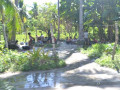 DSC 0775
