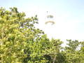 DSC 0796