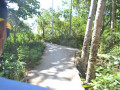DSC 0805
