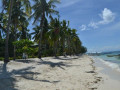 DSC 0860