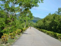 Poro-San Francisco Mangrove Hi-Way