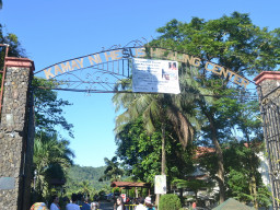 kamay ni jesus DSC 0012