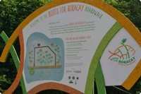 Roots for Boracay