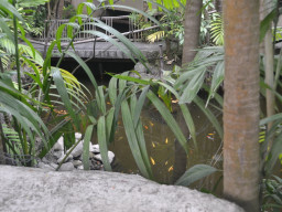 Angono Rizal DSC 0257