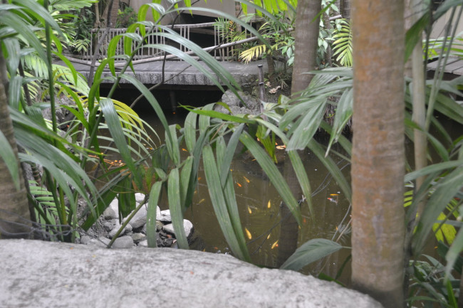 Angono Rizal DSC 0257