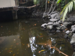 Angono Rizal DSC 0266