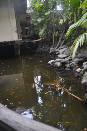 Angono Rizal DSC 0266