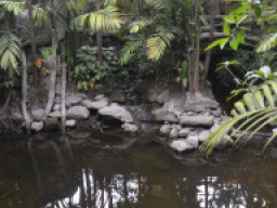 Angono Rizal DSC 0267