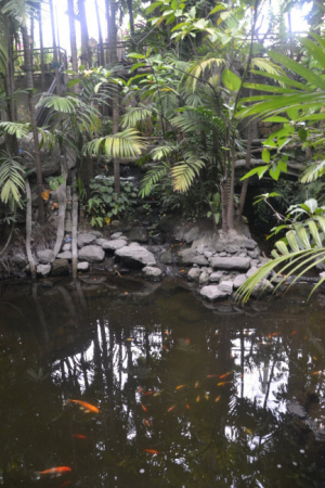 Angono Rizal DSC 0267