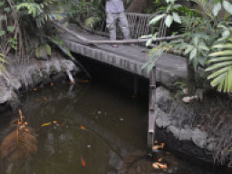 Angono Rizal DSC 0268