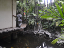 Angono Rizal DSC 0269