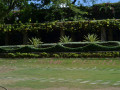 DSC 0149