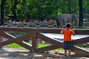 manila zoo CSC 0316