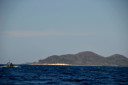 fortune island DSC 0032