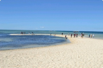 Pandanon Island (Album 3)