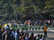 Panagbenga Festival